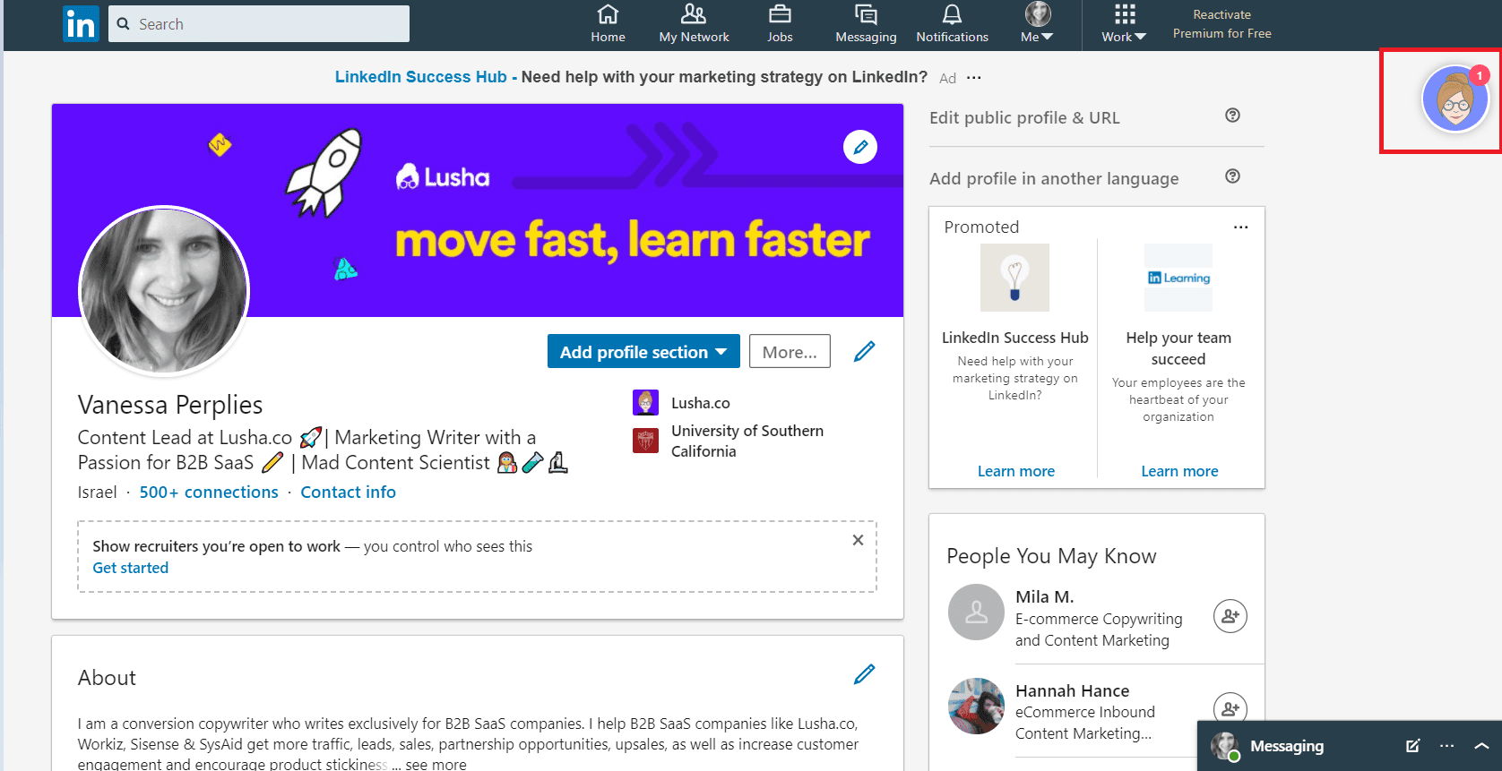 Lusha LinkedIn Extension Interface